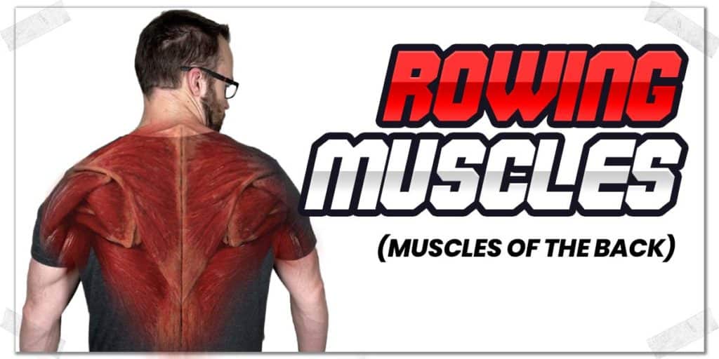 Vertical clearance back exercises
