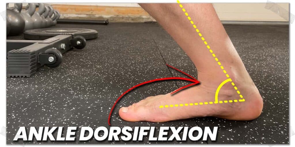 Why You Have Ankle Pain When Squatting (And How To Fix It) - Strength ...